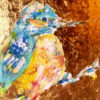 happiness surrounds eisvogel